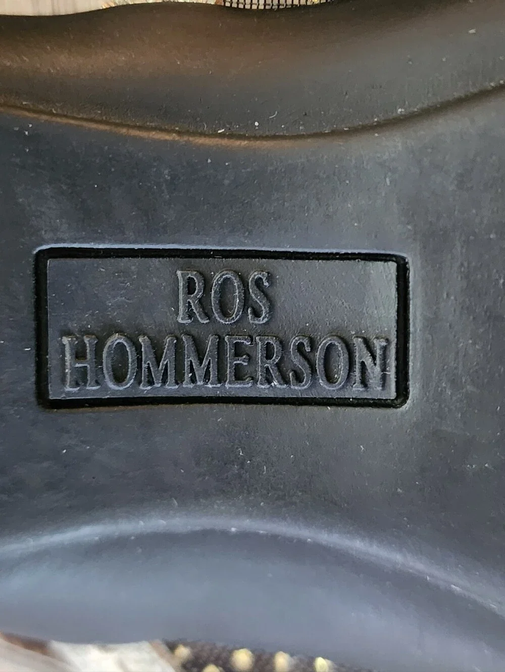 Ros Hommerson step into
